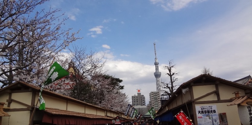 春の浅草寺境内から見た東京スカイツリーです