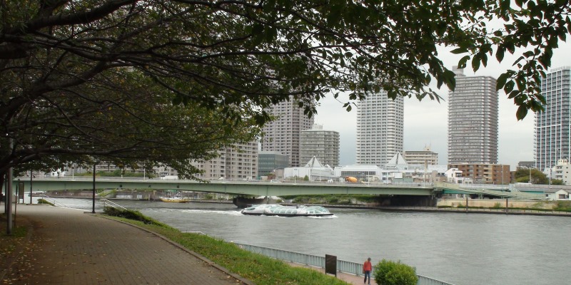 佃大橋と散歩道