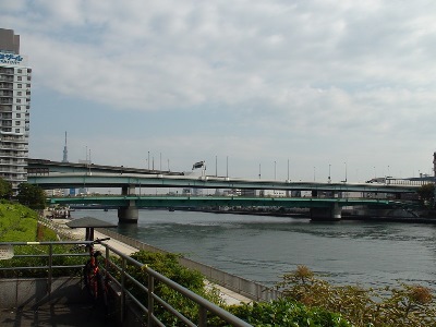 隅田川大橋の全景