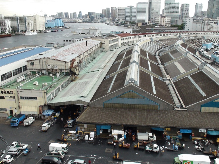 隅田川と築地市場の風景